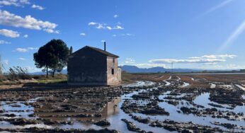 Os Arrozais de Albufera: O Berço da Paella Valenciana