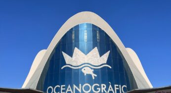 O Maior Aquário da Europa: Descubra o Oceanário de Valência