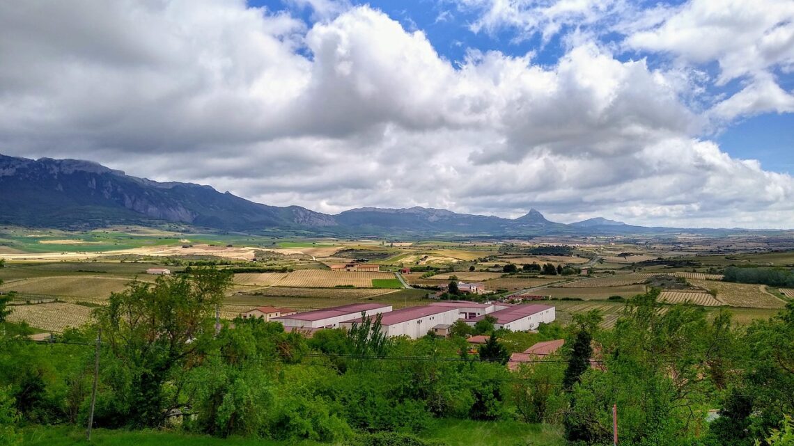 Rota dos Vinhos
