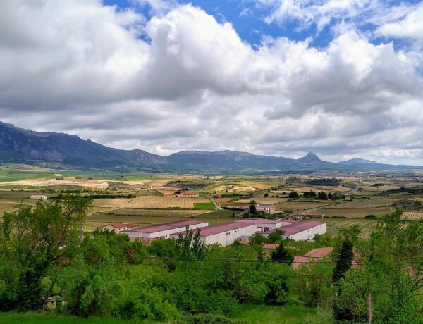 Rota dos Vinhos